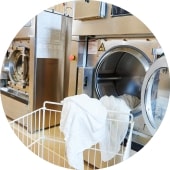 Commercial Laundry Circle
